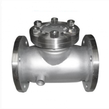 Steam jacketed check valve