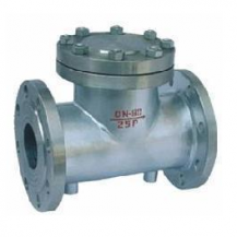 Full jacketed swing type check valve